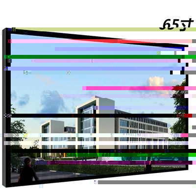 65寸液晶監(jiān)視器